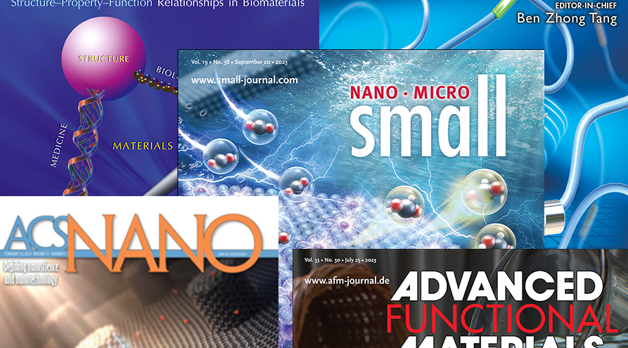 2026�����������˶���Ϯ������������������������Ϊ��Ŀ����򵥣�